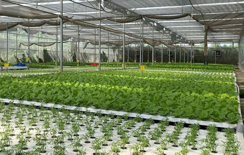 Nền nông nghiệp xanh thông minh