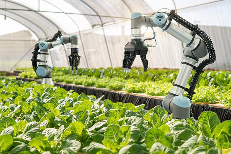 Sử dụng robot trong nông nghiệp xanh